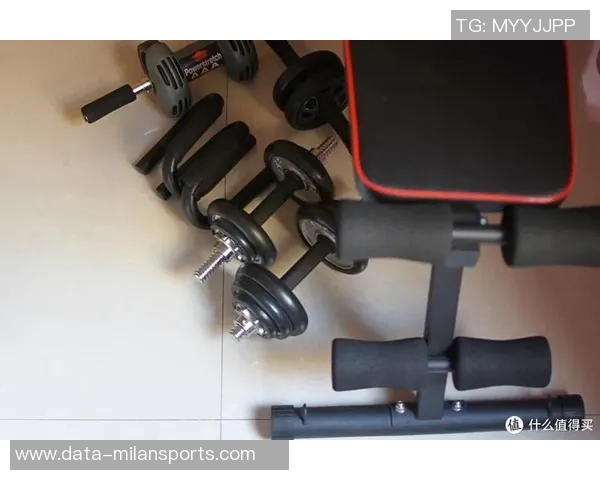 多德士哑铃凳使用体验评测及购买建议分享