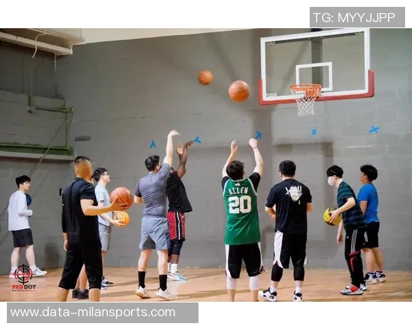 篮球明星的独特技巧与战术解析助你提升球场表现的秘诀